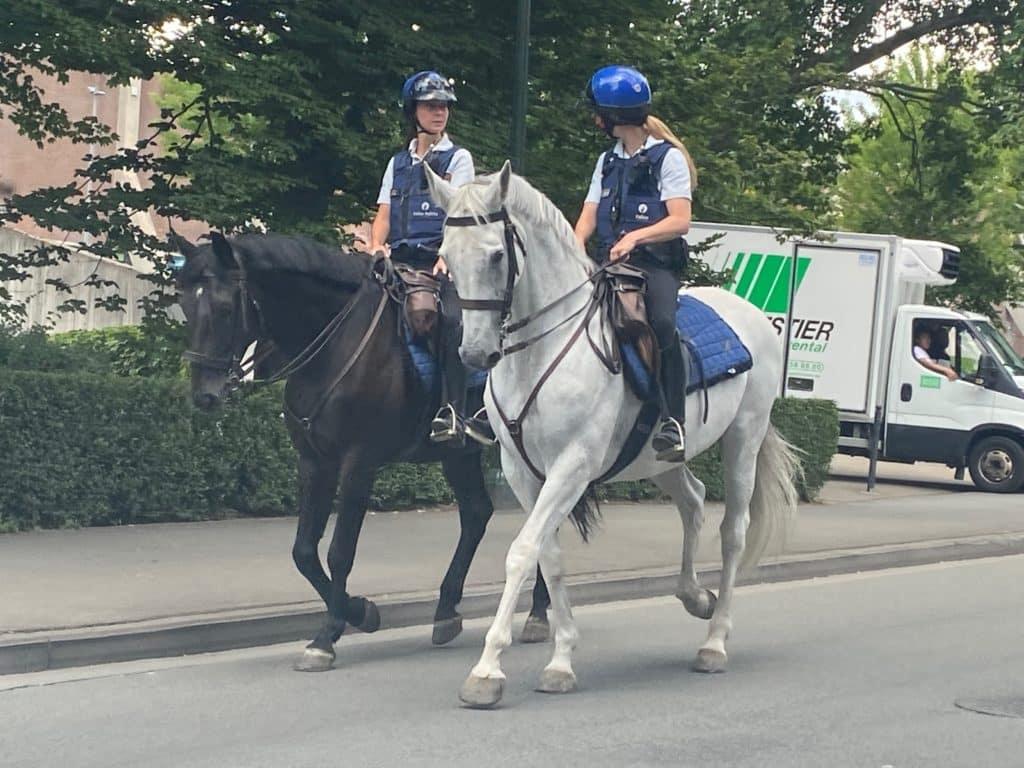 Tout conducteur doit ralentir lorsqu’il approche des animaux et s’arrêter lorsque les animaux montrent des signes de frayeur.